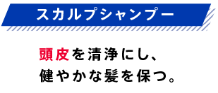 スカルプシャンプー頭皮を清浄にし、健やかな髪を保つ。