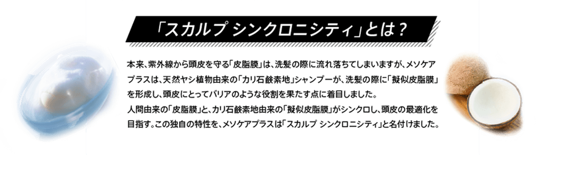 「スカルプ シンクロニシティ」とは？ 本来、紫外線から頭皮を守る「皮脂膜」は、洗髪の際に流れ落ちてしまいますが、メソケア
プラスは、天然ヤシ植物由来の「カリ石鹸素地」シャンプーが、洗髪の際に「擬似皮脂膜」を形成し、頭皮にとってバリアのような役割を果たす点に着目しました。人間由来の「皮脂膜」と、カリ石鹸素地由来の「擬似皮脂膜」がシンクロし、頭皮の最適化を目指す。この独自の特性を、メソケアプラスは「スカルプ シンクロニシティ」と名付けました。